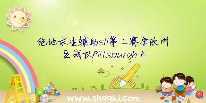 绝地求生辅助sli第二赛季欧洲区战队Pittsburgh